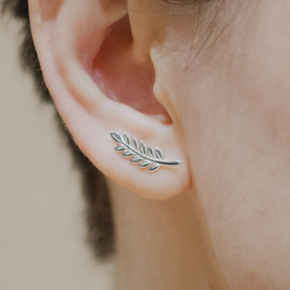 Common Ash Leaf Branch Ear Climber - Silver